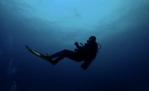 diver costa rica dive and surf
