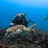 Scuba Diving at Caño Island