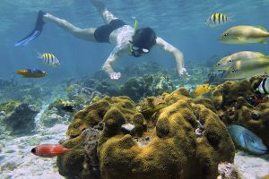 snorkel-at-Cahuita-National-Park