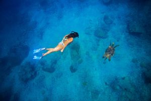 snorkeler-watching-a-sea-turttle