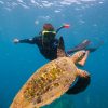 Snorkeling Tour at Caño Island