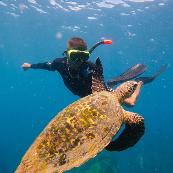 Snorkeling Tour at Caño Island