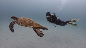 advanced-open-water-foto