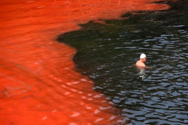 La marea roja puede ser tóxica