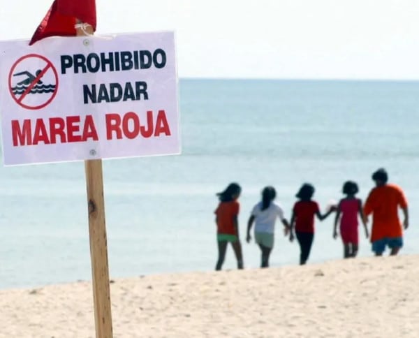 Nadar en la marea roja?