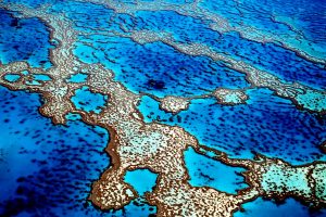 australia-great-barrier