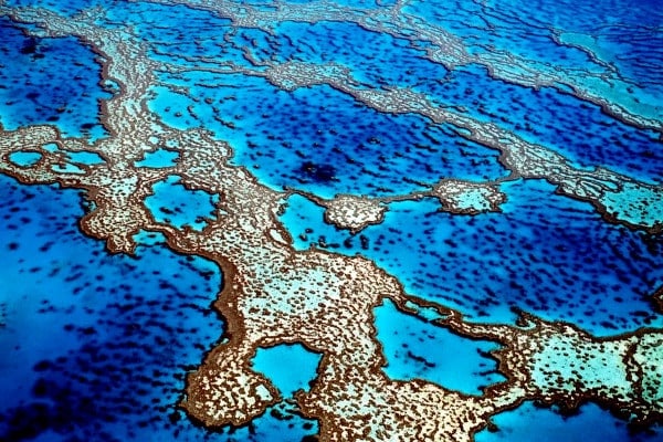 la gran barrea de coral de australia