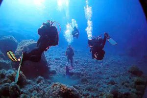 Nitrogenous-narcosis-or-drunkenness-of-the-deepNitrogenous-narcosis-or-drunkenness-of-the-deep