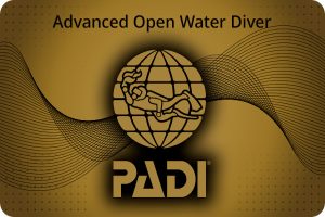 advance-open-water-diver-card-golden-color