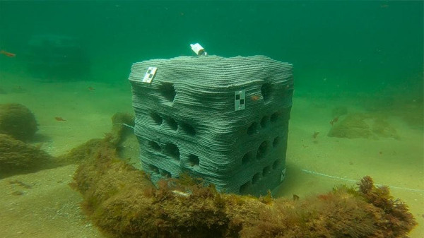 artificial reef-underwater museums and artificial reefs