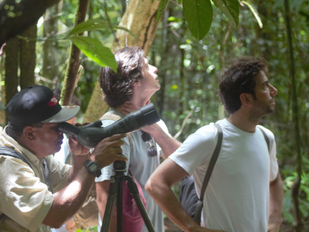 Corcovado Tour