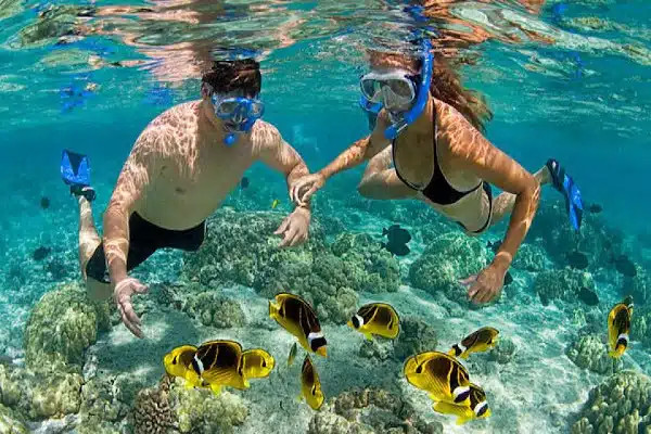 A couple snorkeling