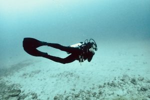 diver swimming