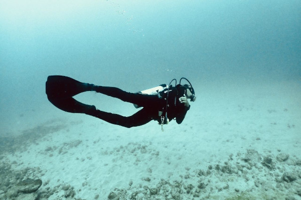 diver swimming