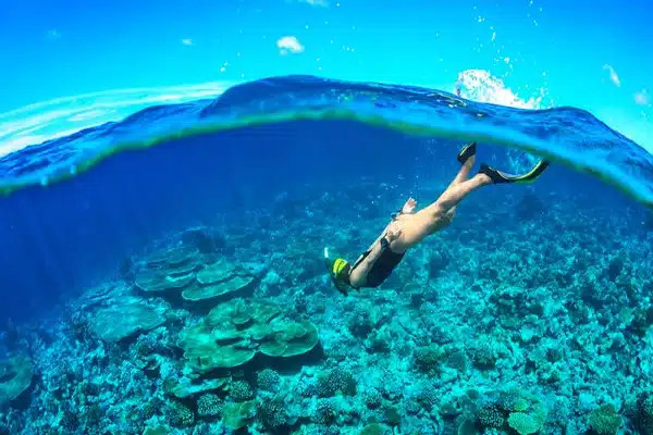 snorkeling vs swimming-snorkeler observing under the sea