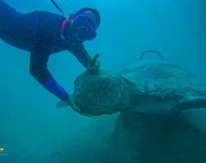 punta-leona-underwater-museum