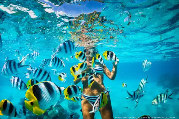 snorkeling vs swimming-woman watching the colorful fishes under the water