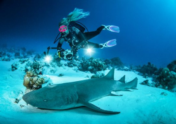 diving tour maldives