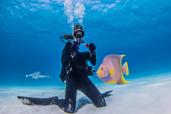 Diving in Bahamas diver taking a picture of a fish