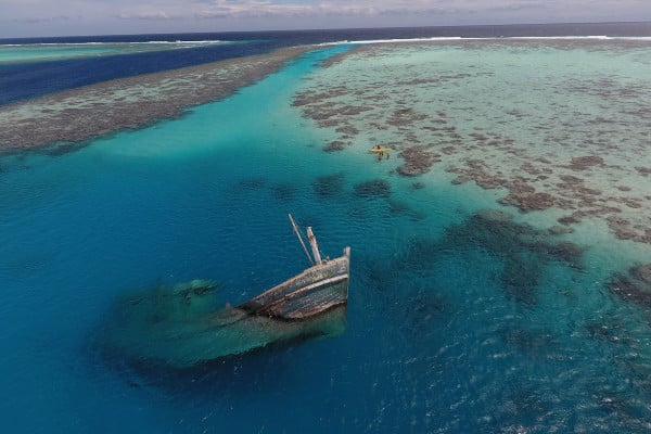 Independientemente de tu nivel de experiencia, las Maldivas son una visita obligada para bucear. Por algo es uno de los mejores destinos de buceo del mundo.