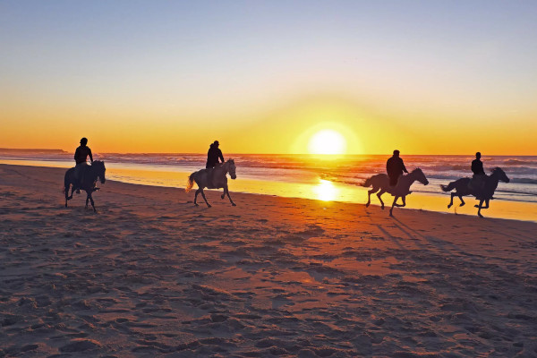 horseback riding in uvita costa rica