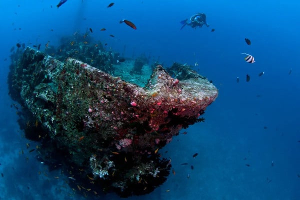 buceo en las maldivas naufragio de la victoria