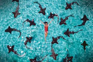 scuba-diving-bahamas-exuma
