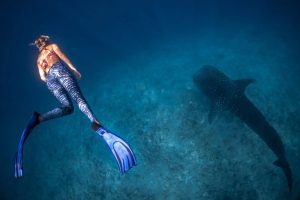 shank-in-the-maldives