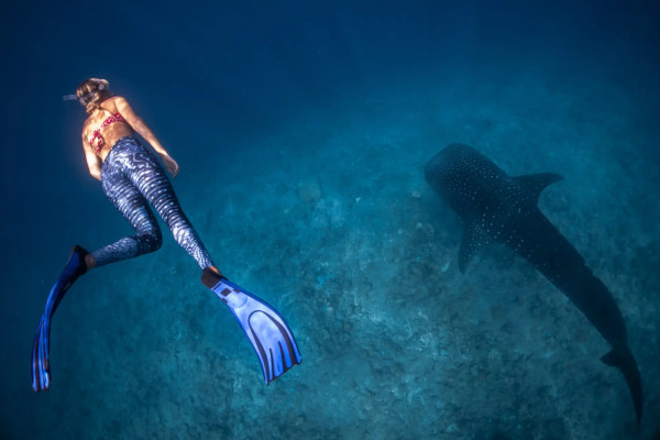 Best scuba diving in Maldives - snorkler watching a fish