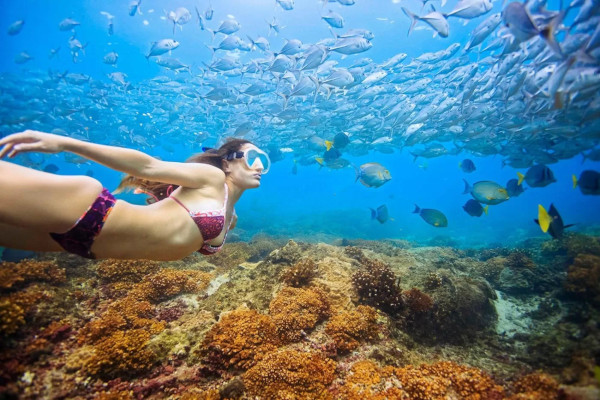 snorkel in uvita