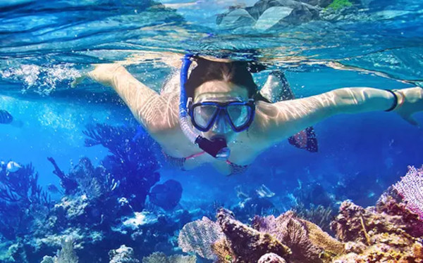 snorkeling in the maldives