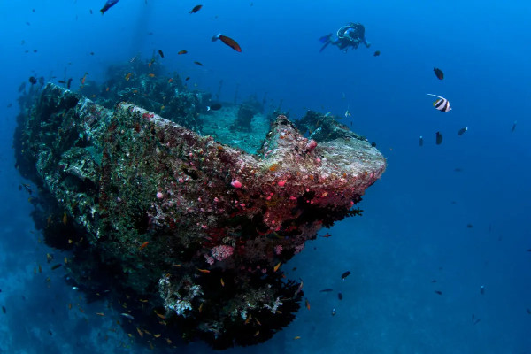 Best scuba diving in the Maldives -victory wreck maldives