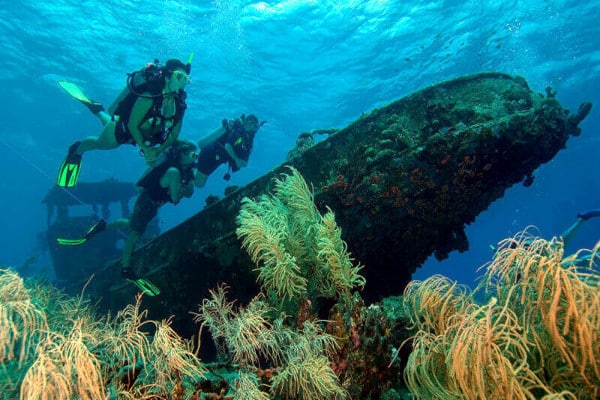 buceo en Caron Bay y Apo reef filipinas