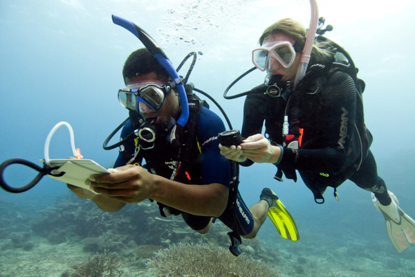 Two divers making use of underwater navigation techniques
