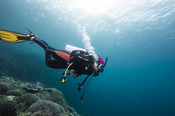 Scuba diving in philippines cebu