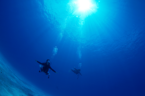underwater navigation; Sunlight is essential in natural underwater navigation