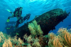scuba-diving-in-philippines-Apo-Reef-and-Wrecks-of-Coron-