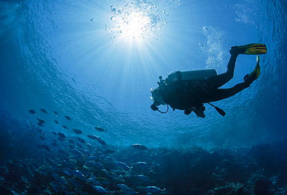 underwater navigation; natural navigation