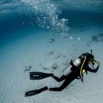 diving-weight-and-neutral-buoyancy