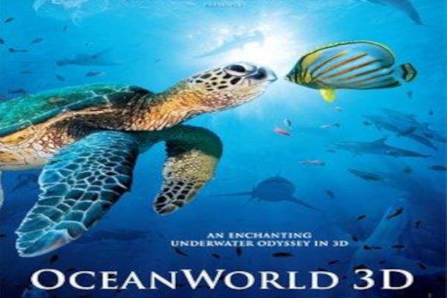 Películas de buceo- Ocean World
