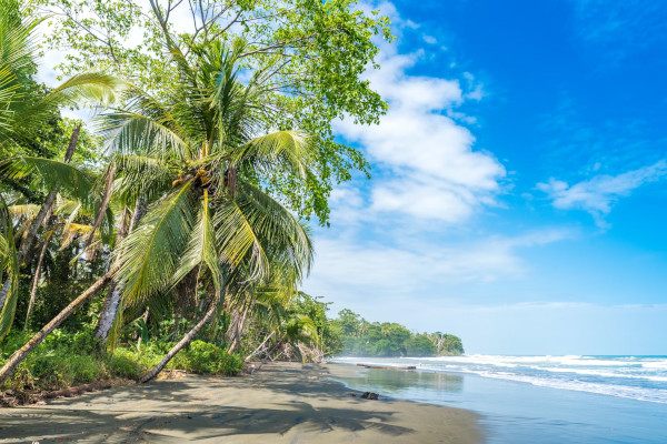 Playa Negra Cahuita, Caribbean Cost Costa Rica|Photo by Simon Dannhauer