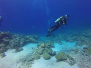 el-mejor-buceo-islas-catalinas-costa-rica
