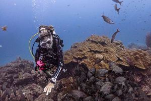 fishes-cano-island-dive-spot