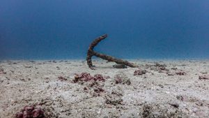 the-anchor