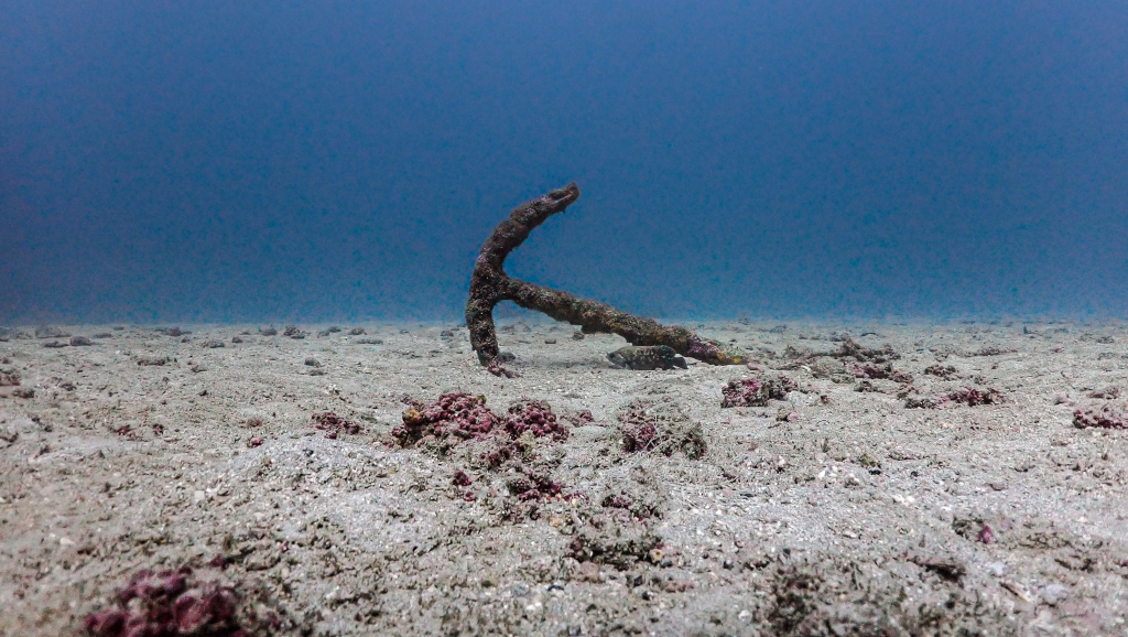 the anchor cano island