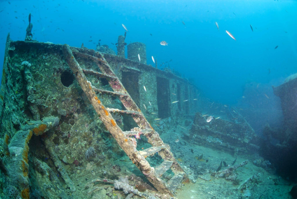 challenging dive sites for experienced divers-Yongala Shipwreck