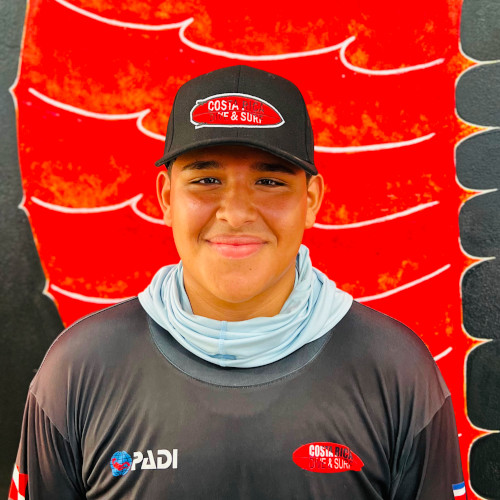 Domenick Mendez Cedeño