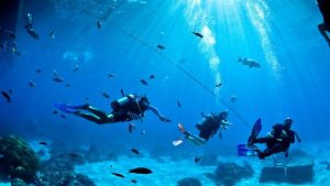 Perder-un-socio-o-un-grupo en el buceo