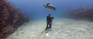 Footage Service Underwater