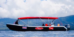 Flying Fish Diving Boat